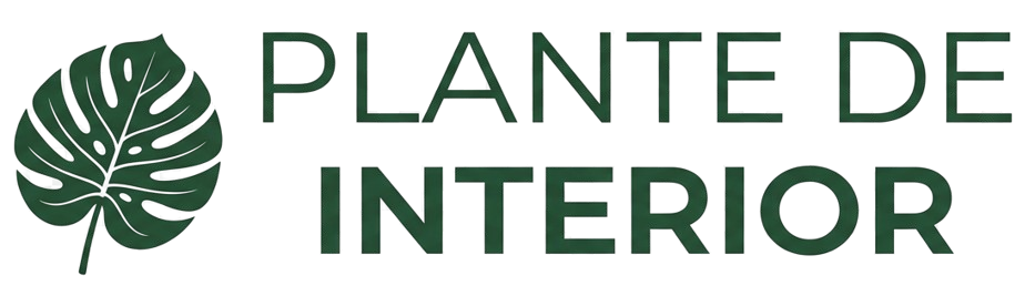Plande de Interior